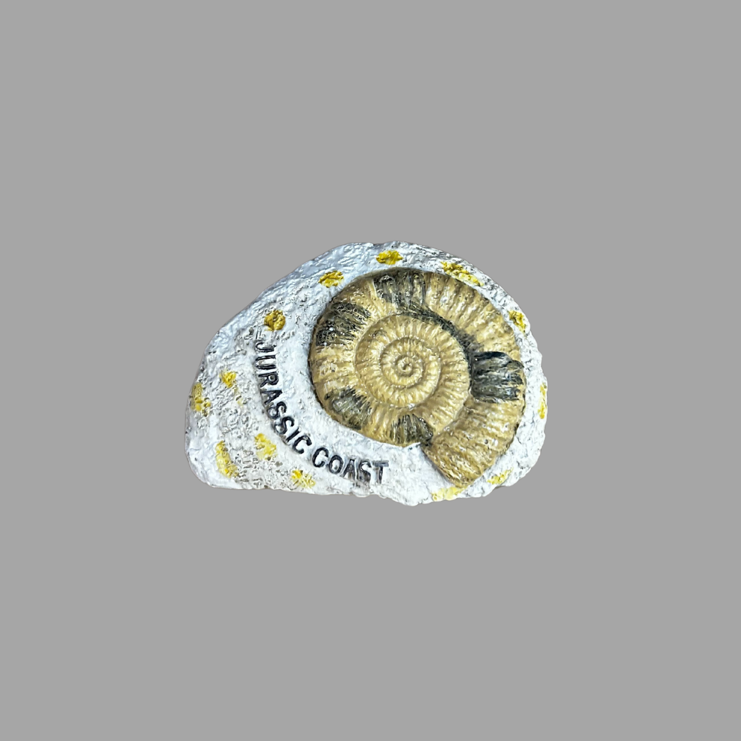 Magnets